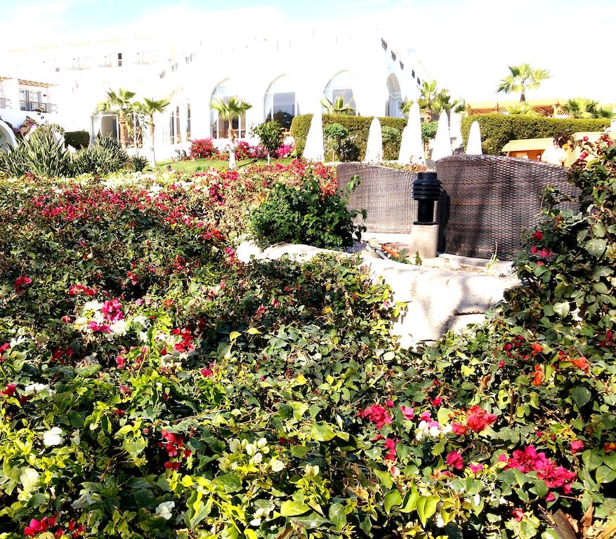 Cyrene Grand Hotel