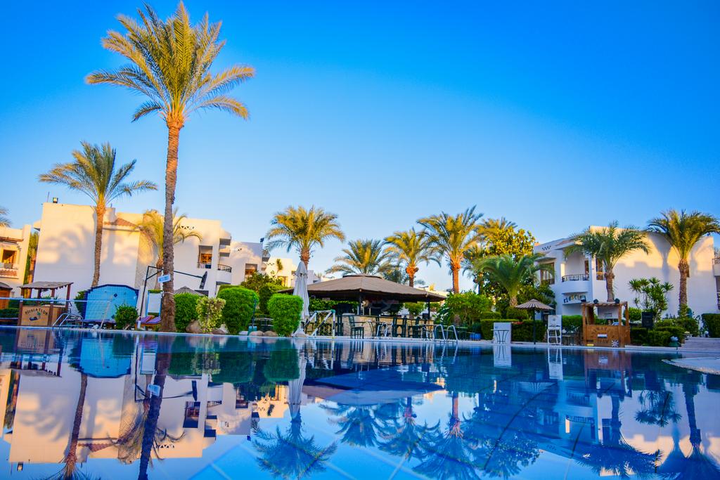 Dive Inn Resort